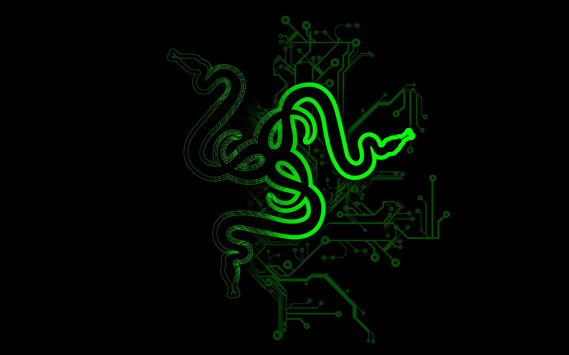 Razer Logo 1920X1080 Wallpapers