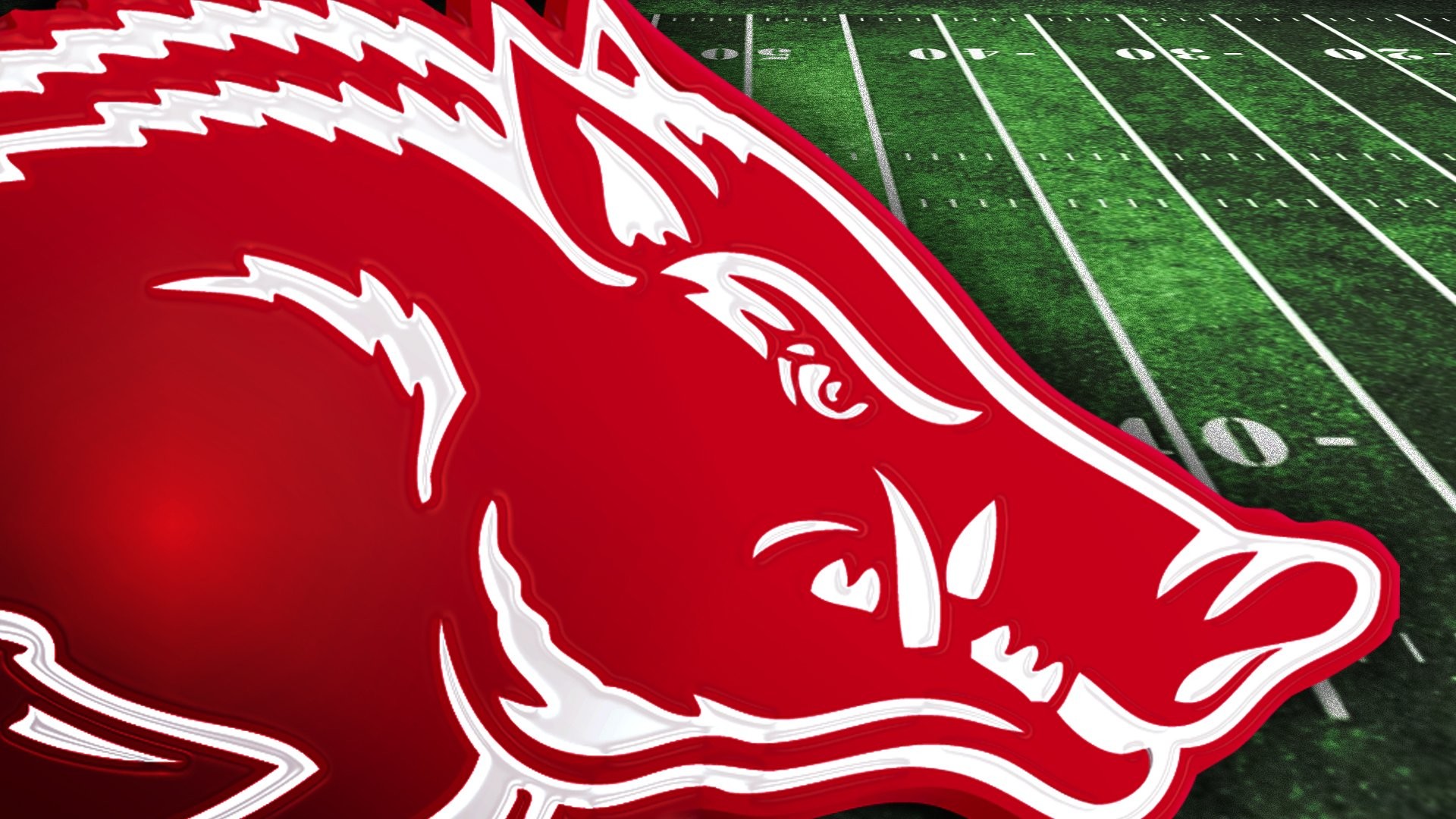 Razorback Wallpapers