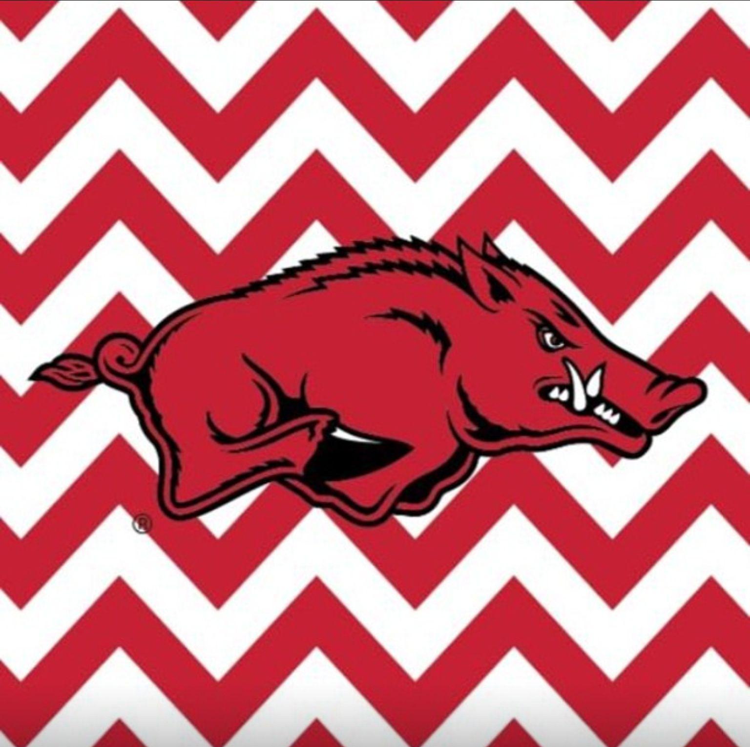 Razorback Wallpapers