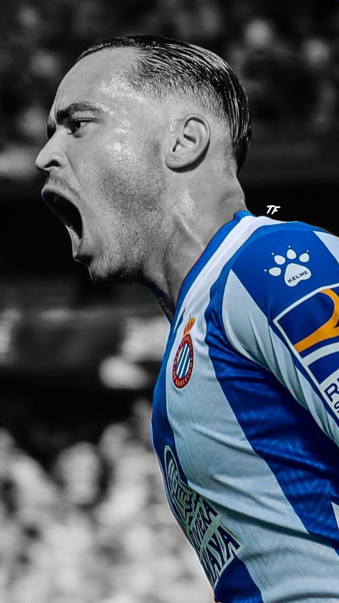 Rcd Espanyol Wallpapers