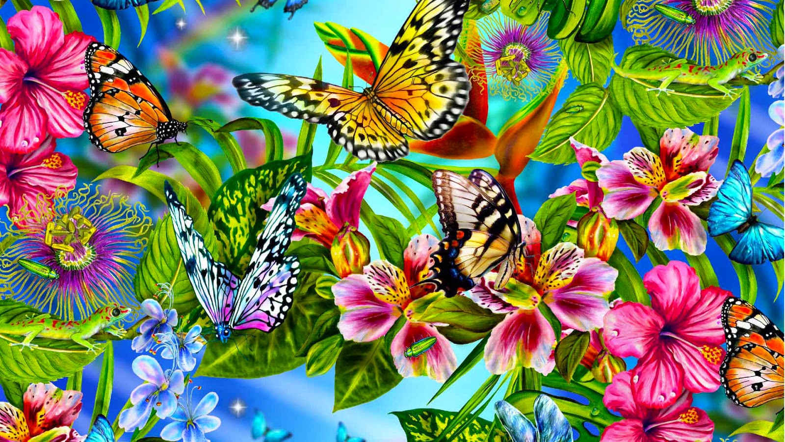 Real Butterfly Wallpapers