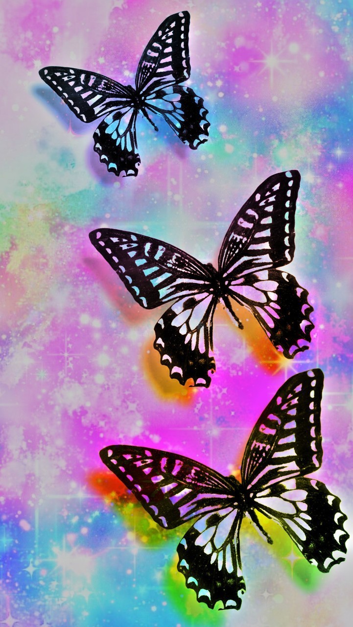 Real Butterfly Wallpapers