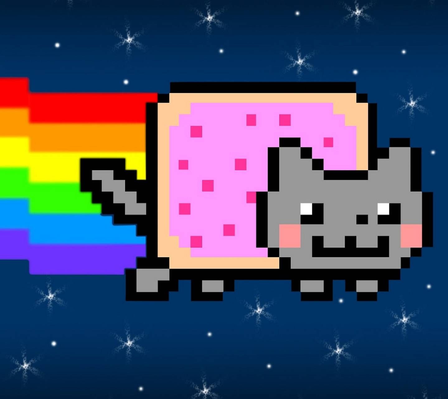 Real Rainbow Cat Wallpapers