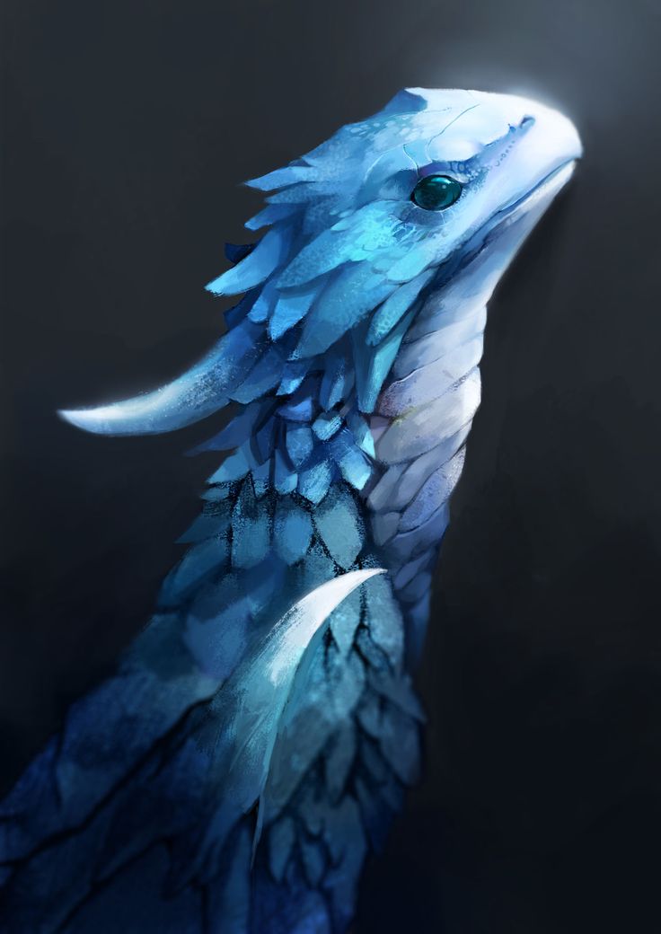 Realistic Dragon Wallpapers