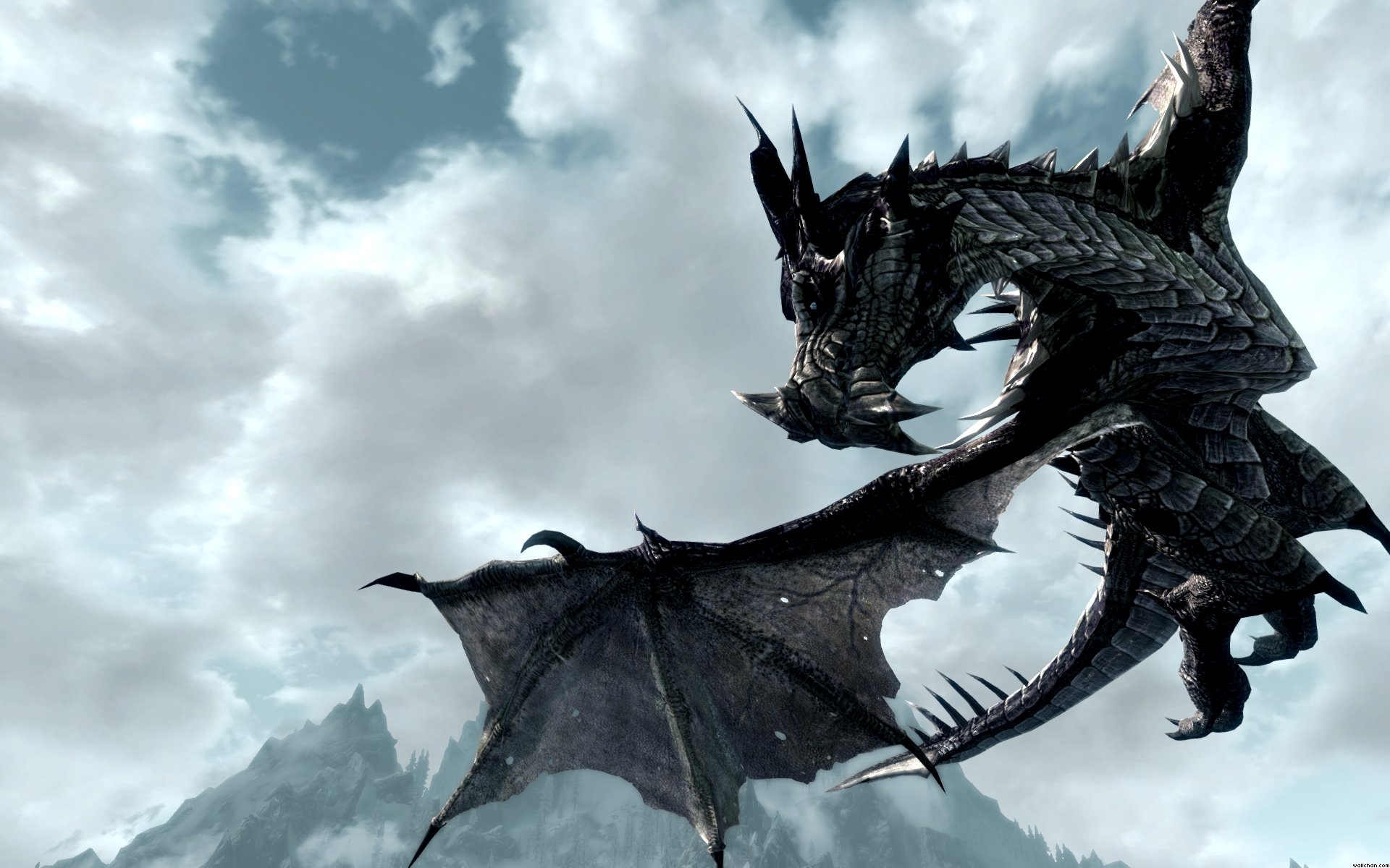 Realistic Dragon Wallpapers