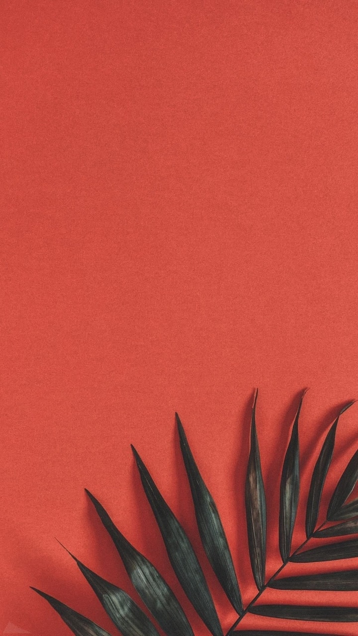 Red Aesthetic Tumblr Wallpapers