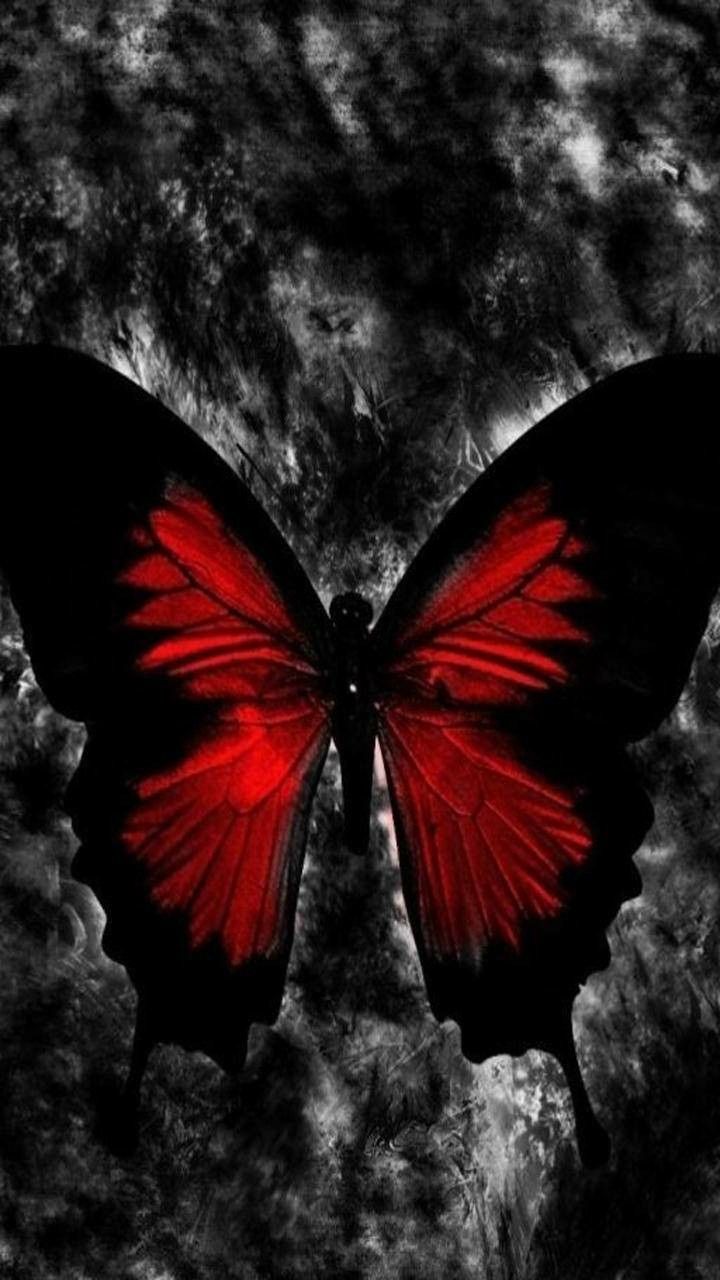 Red And Black Butterfly Wallpapers