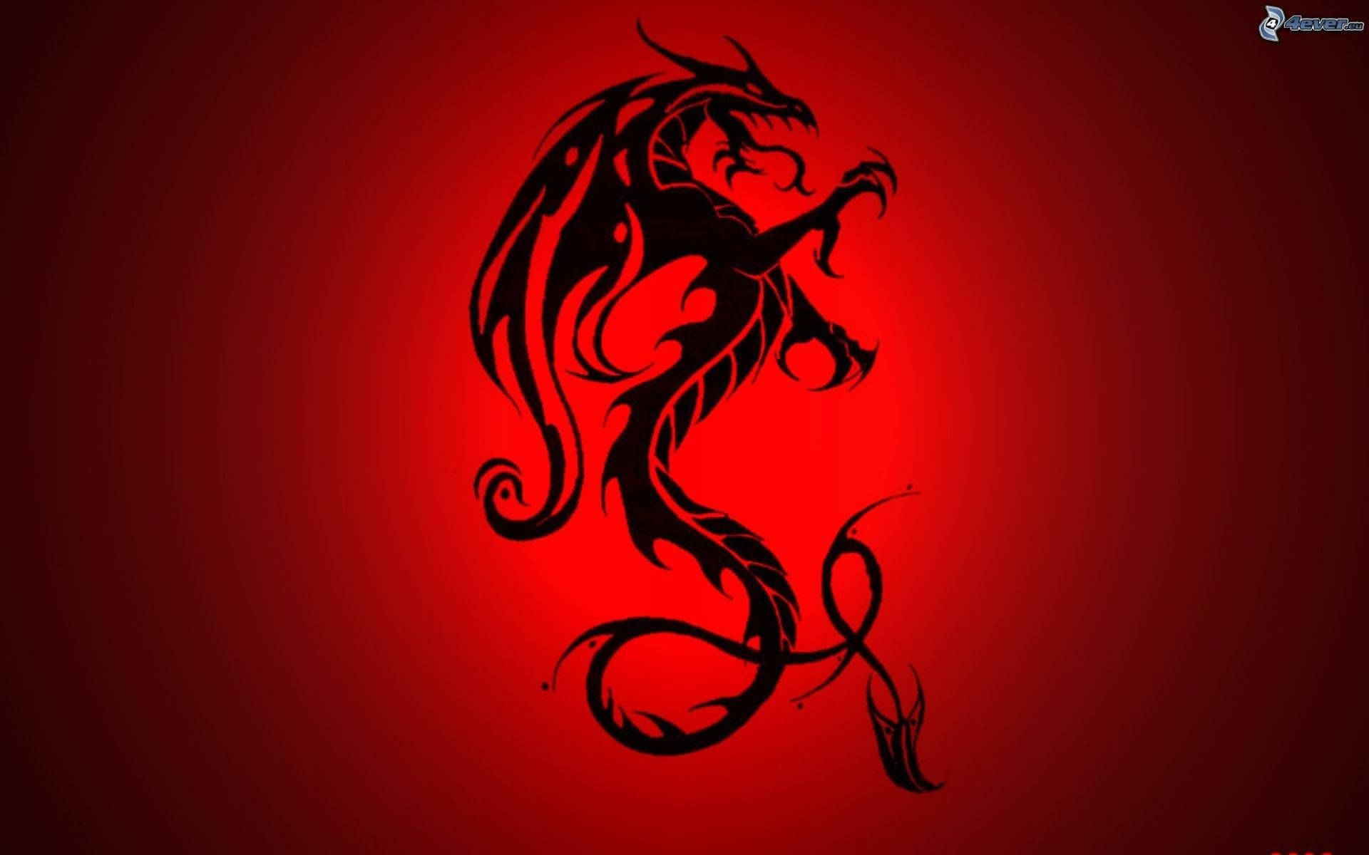 Red And Black Dragon Wallpapers