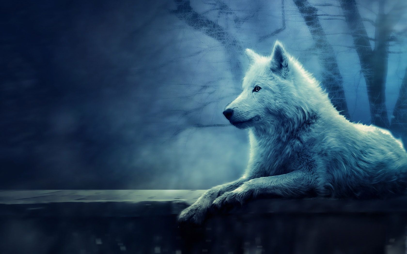 Red And Blue Wolf Wallpapers