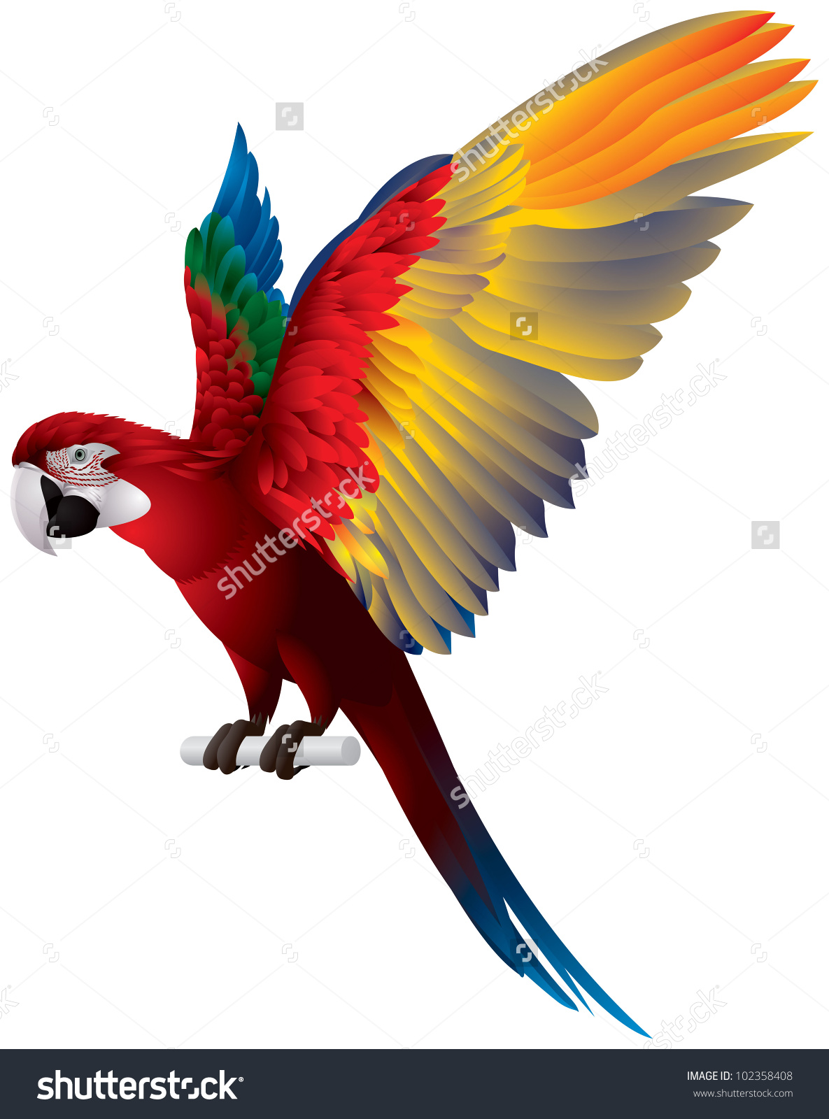 Red-And-Green Macaw Wallpapers