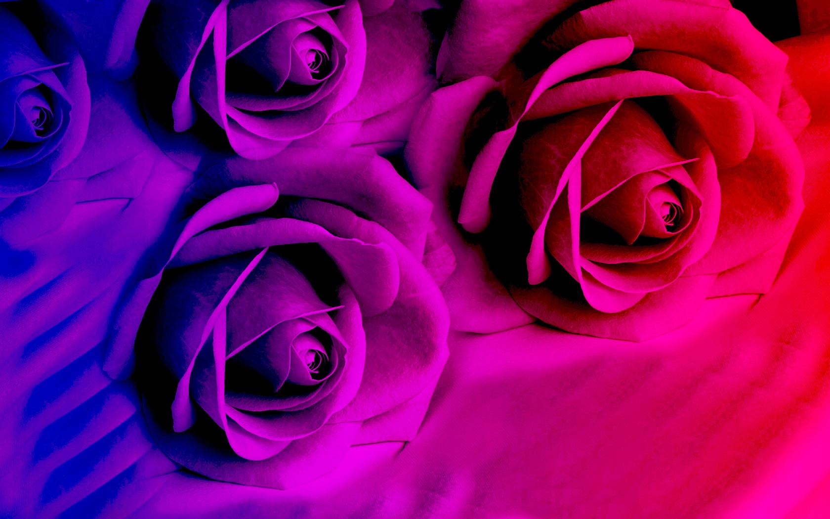 Red And Purple Wallpapers