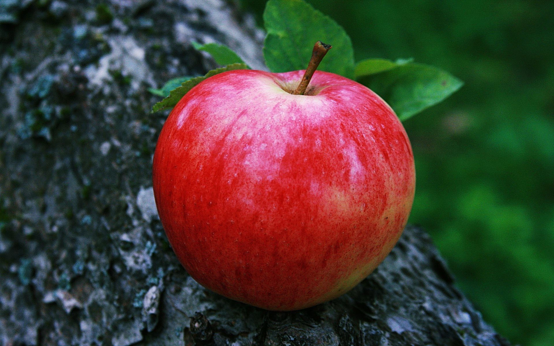 Red Apple Fruit Wallpapers