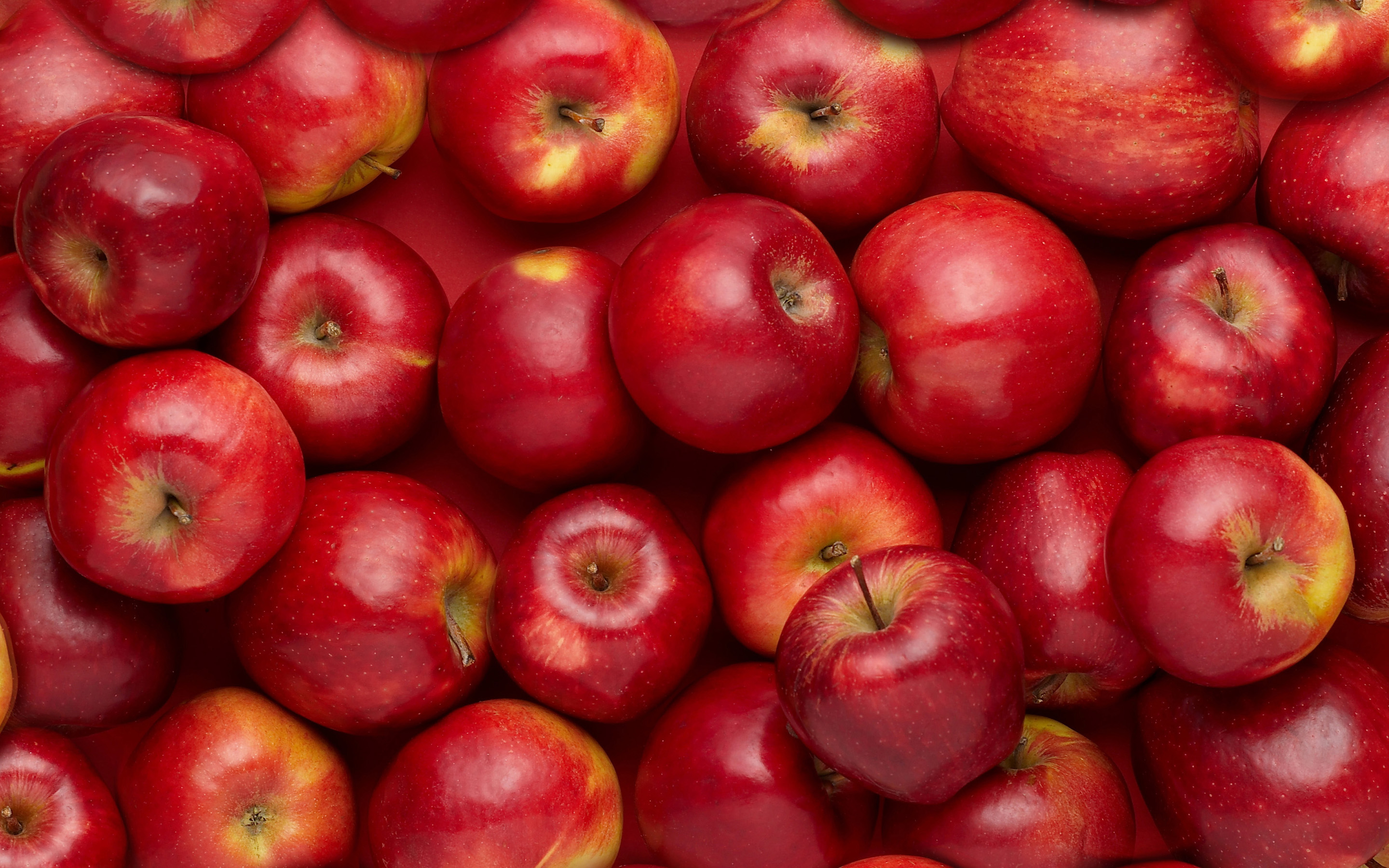 Red Apple Fruit Wallpapers