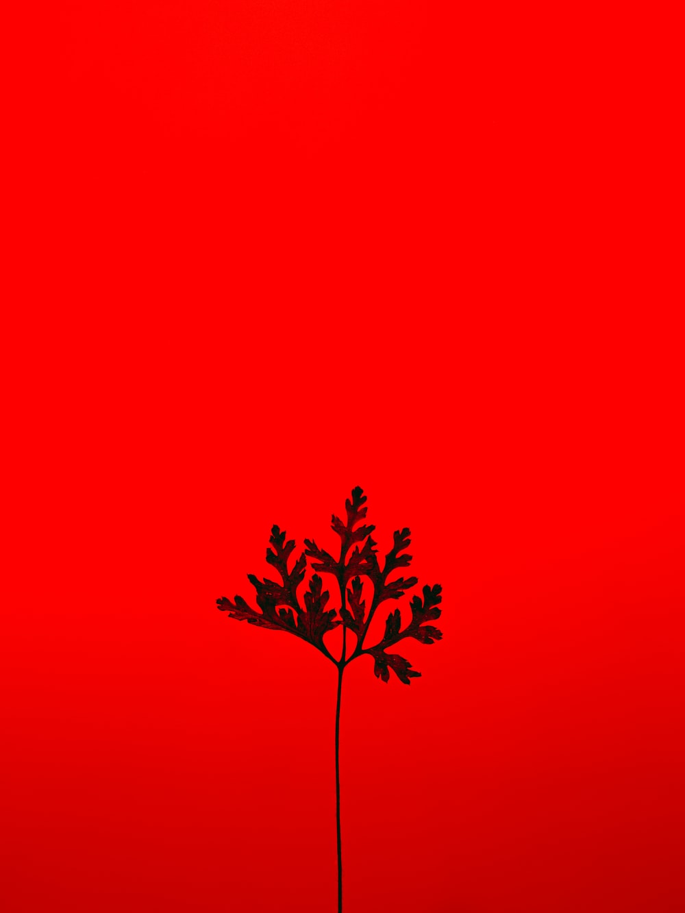 Red Art Wallpapers