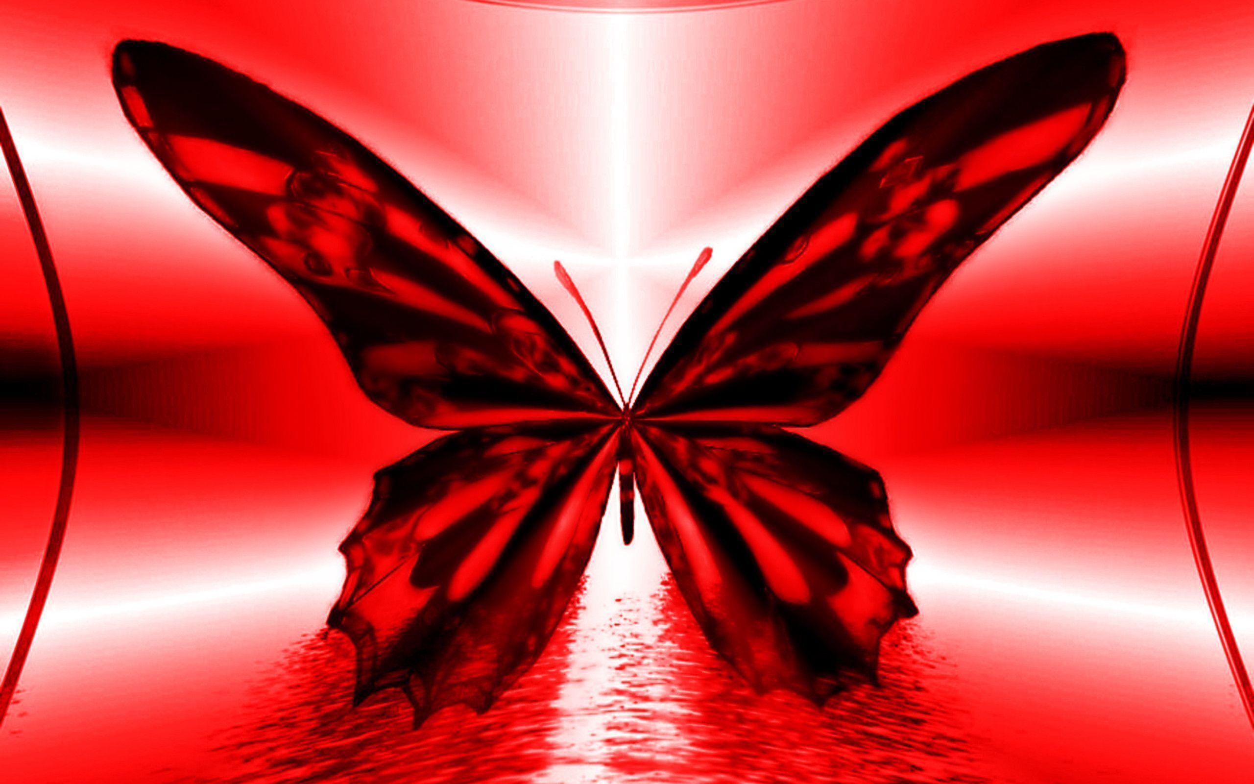 Red Butterfly Hd Wallpapers