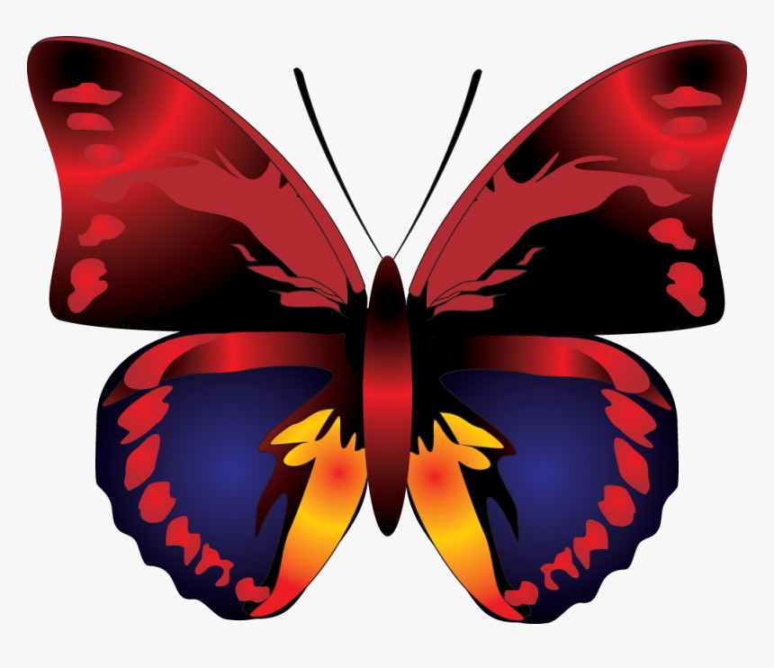 Red Butterfly Hd Wallpapers