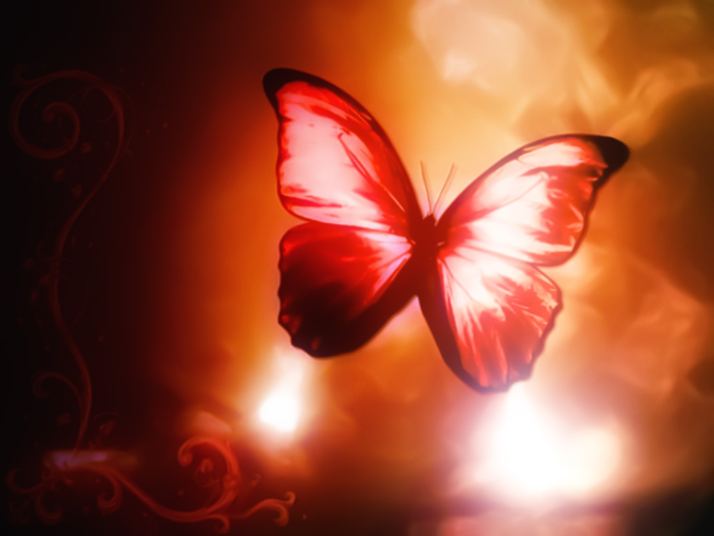 Red Butterfly Hd Wallpapers