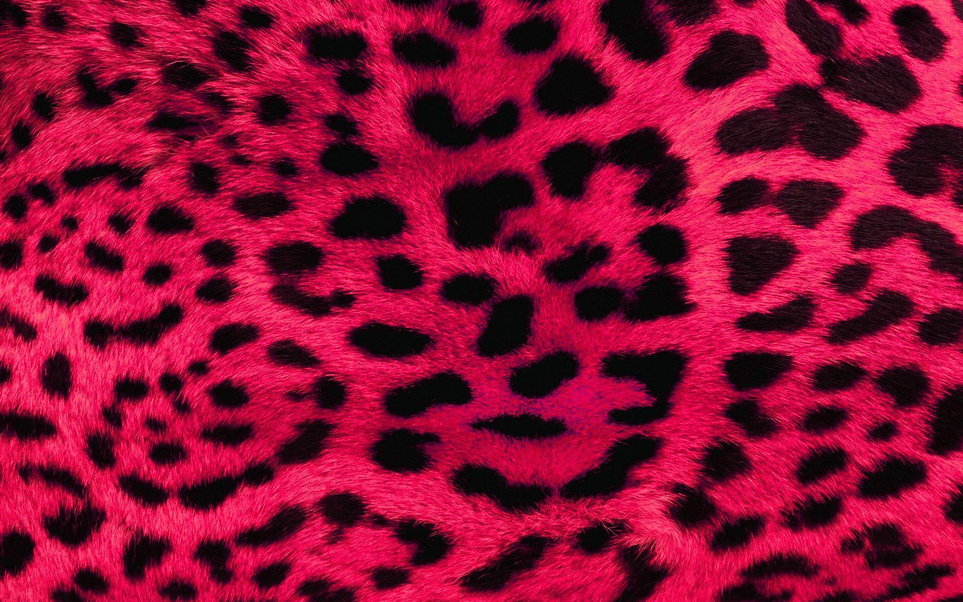 Red Cheetah Wallpapers