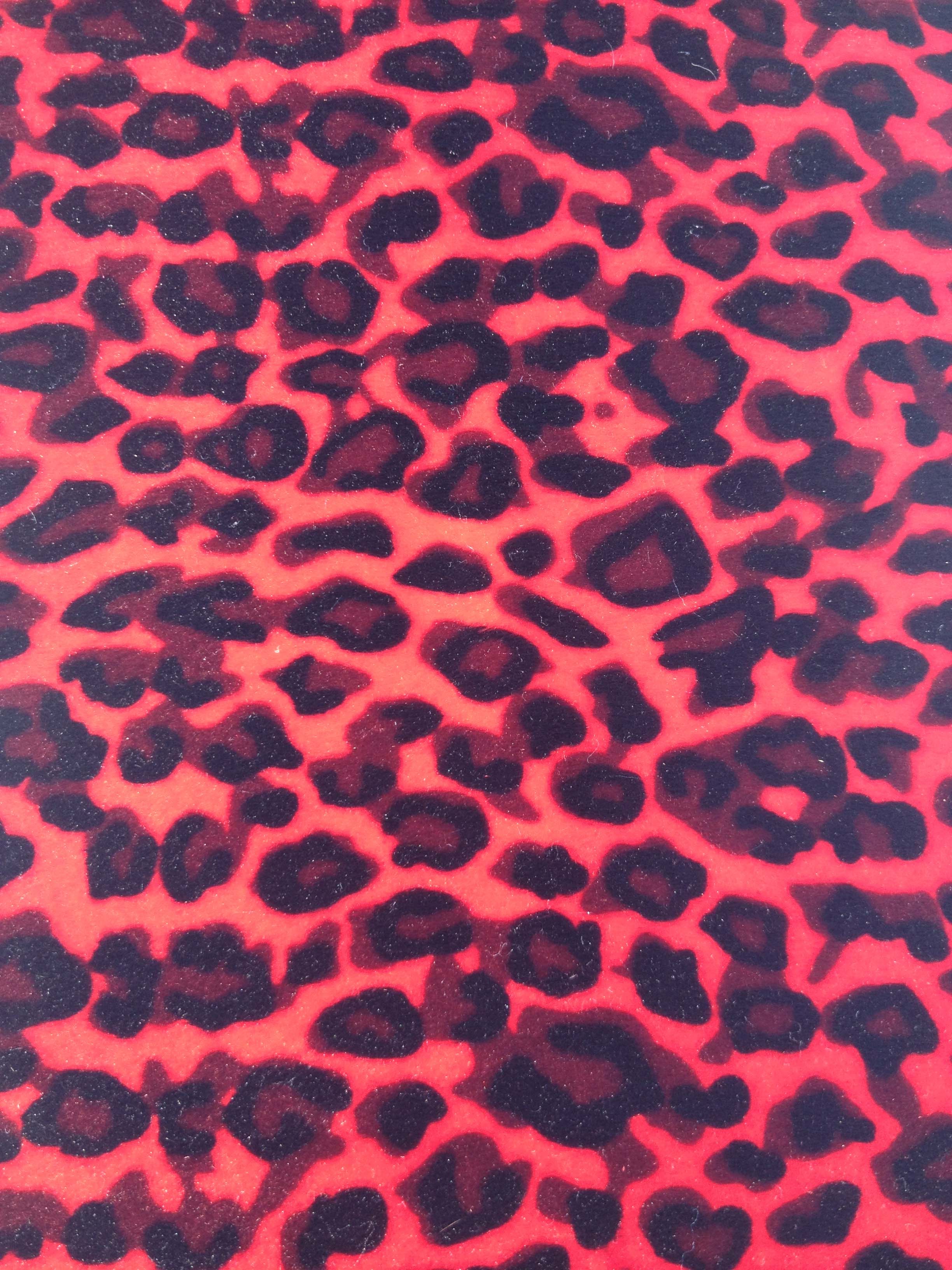 Red Cheetah Wallpapers