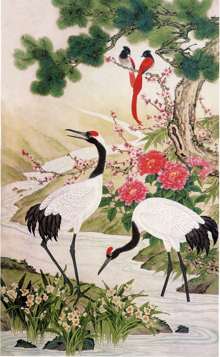 Red-Crowned Crane Wallpapers