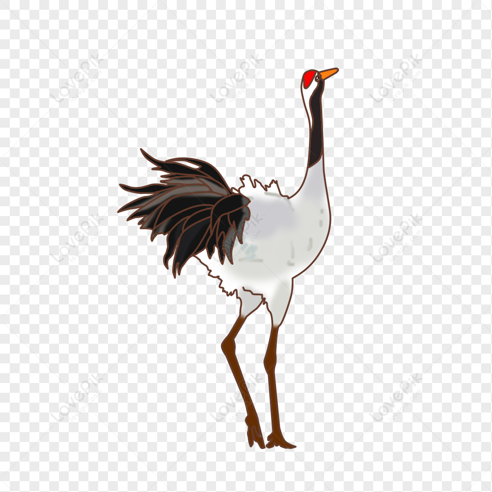 Red-Crowned Crane Wallpapers