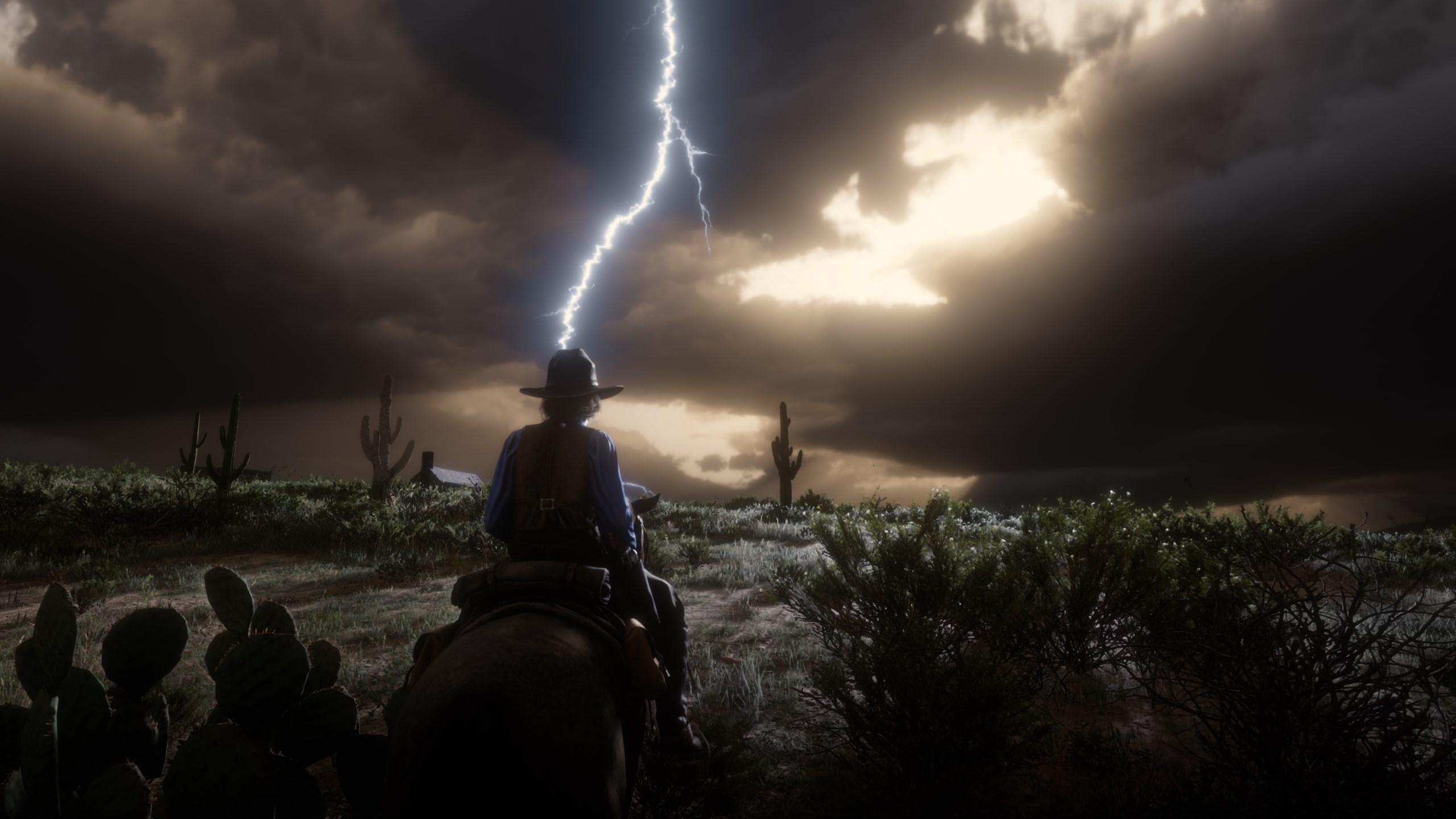 Red Dead Online Wallpapers