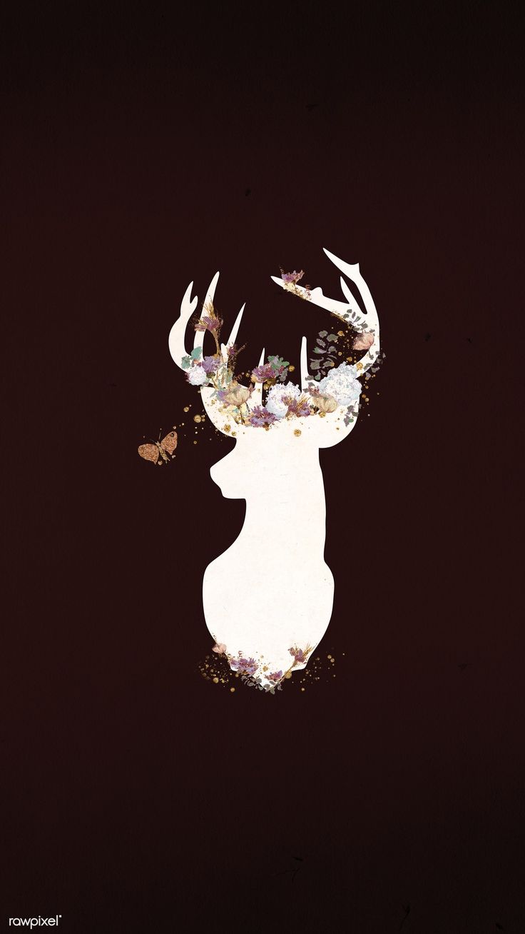 Red Deer Skull Wallpapers