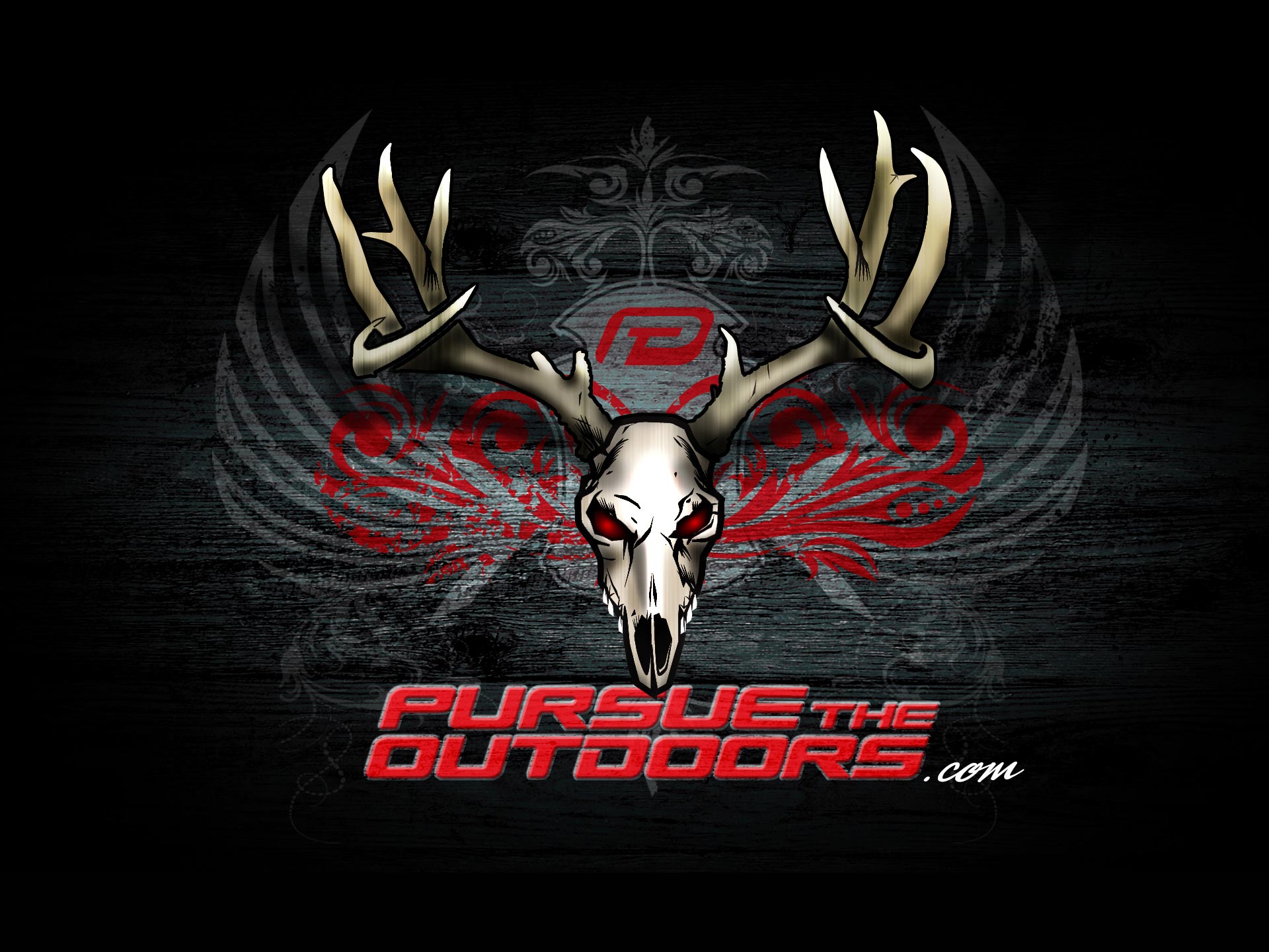 Red Deer Skull Wallpapers