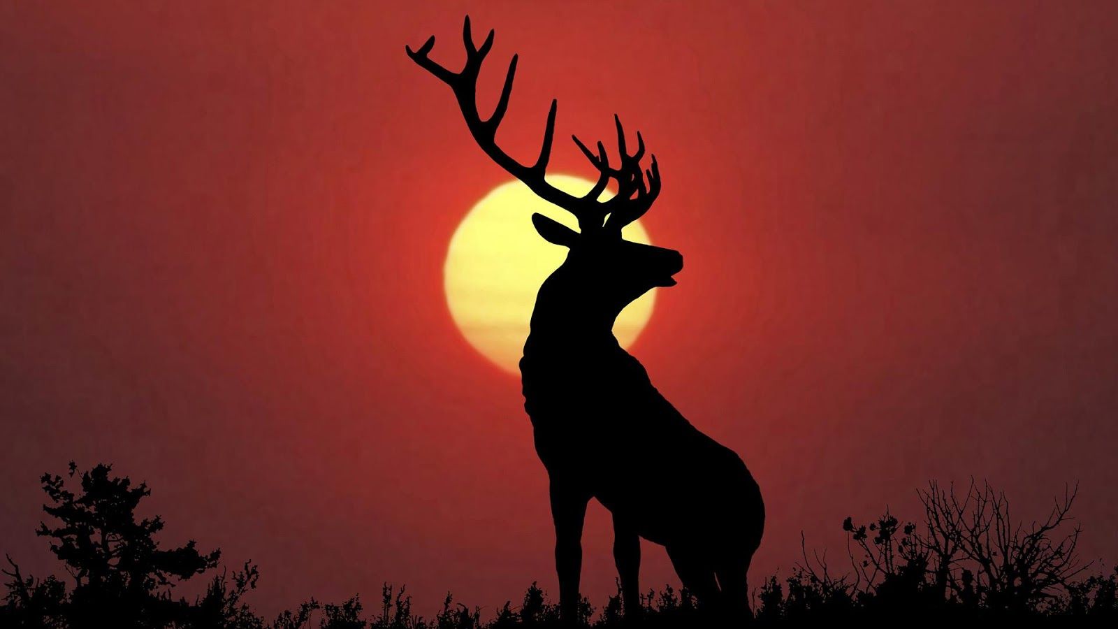 Red Deer Wallpapers