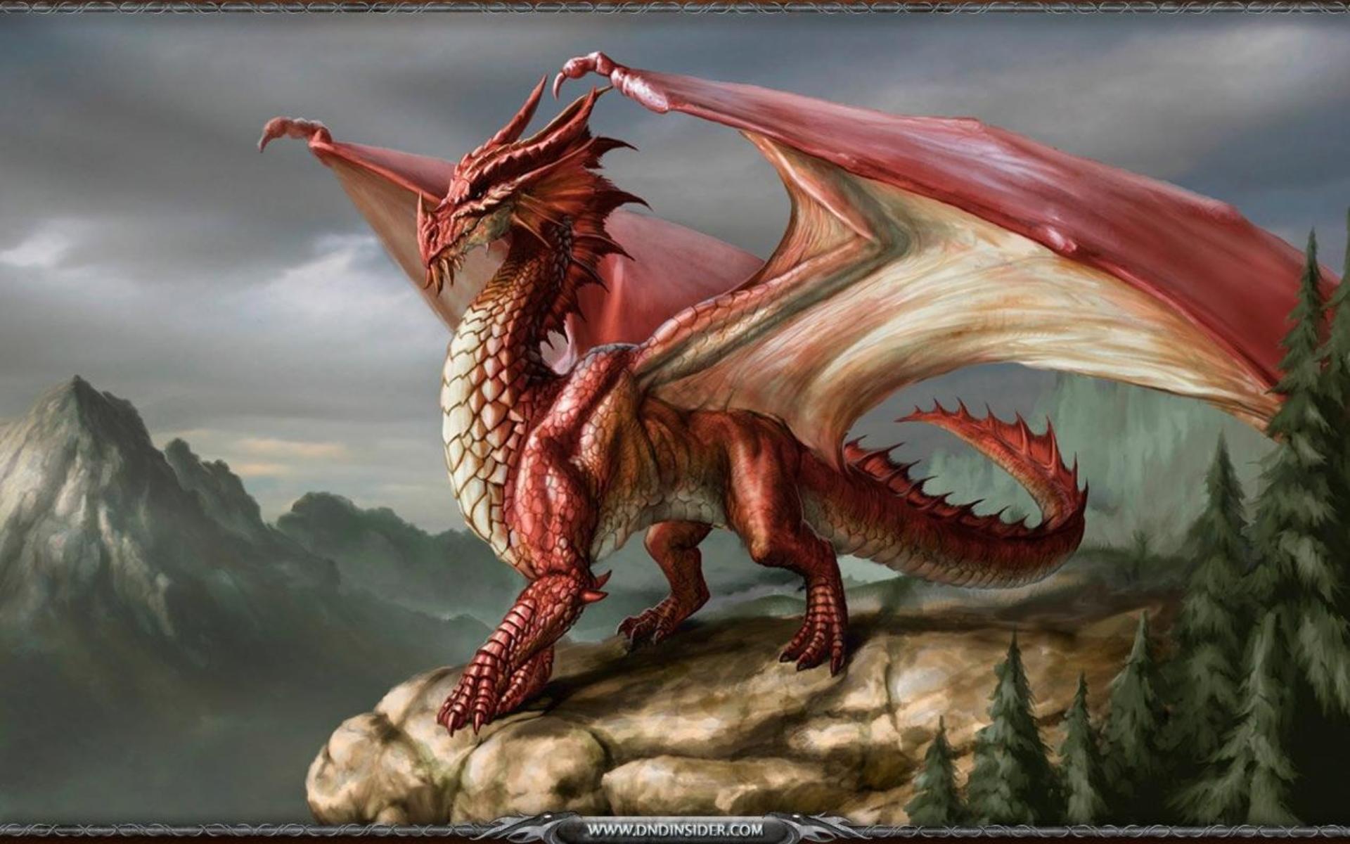 Red Dragon Wallpapers