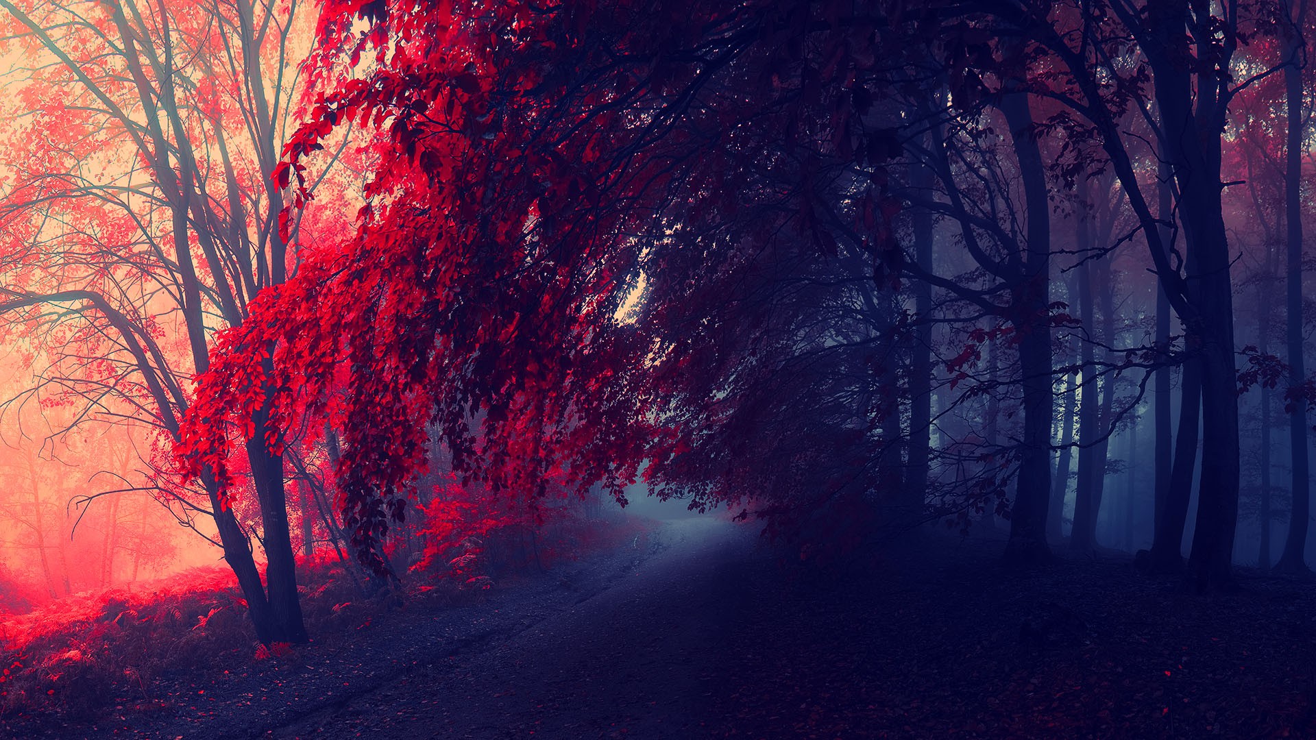 Red Fall Wallpapers