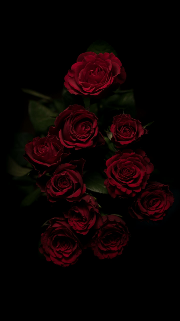 Red Flower Aesthetic Wallpapers