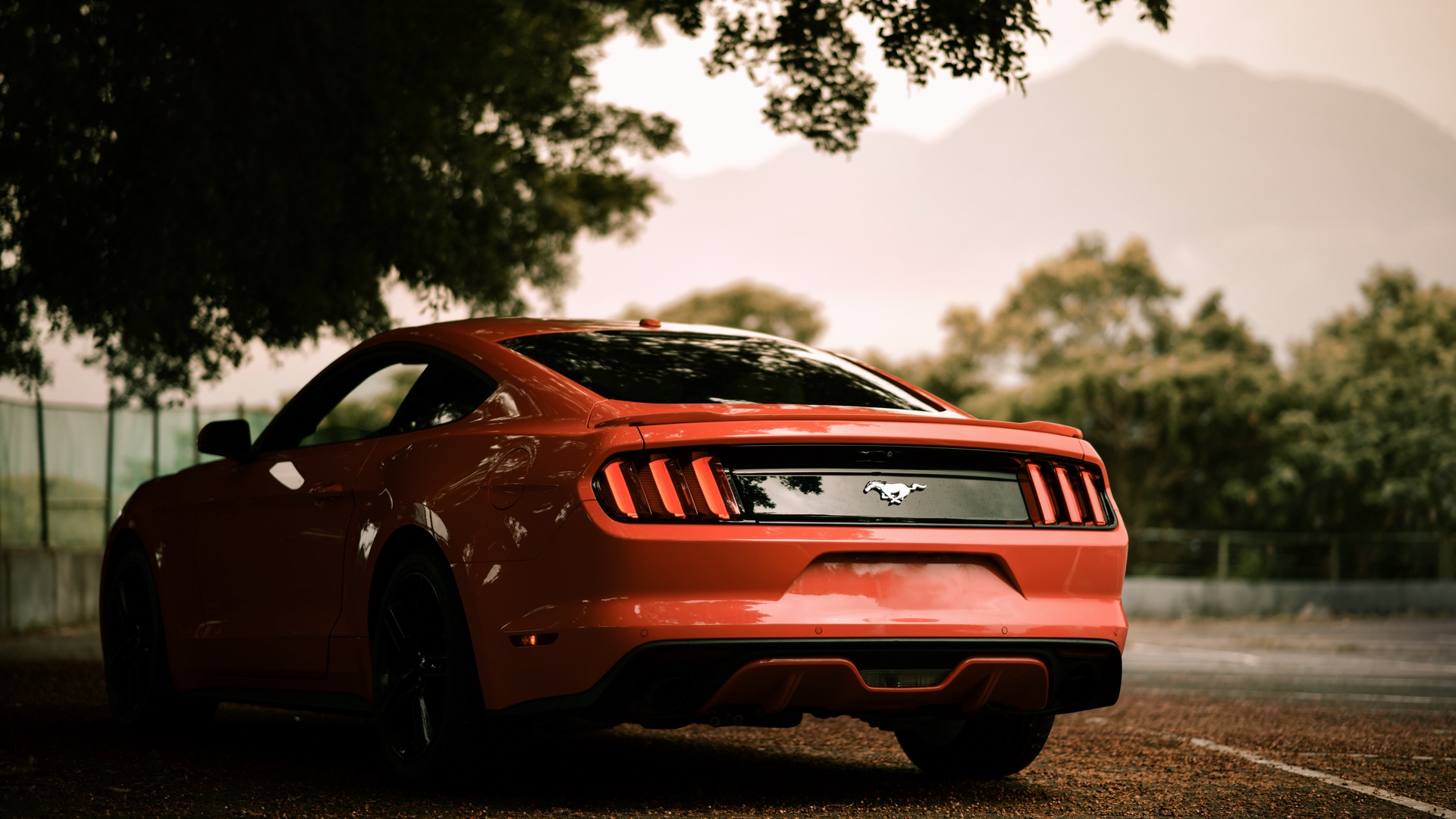 Red Ford Mustang Wallpapers