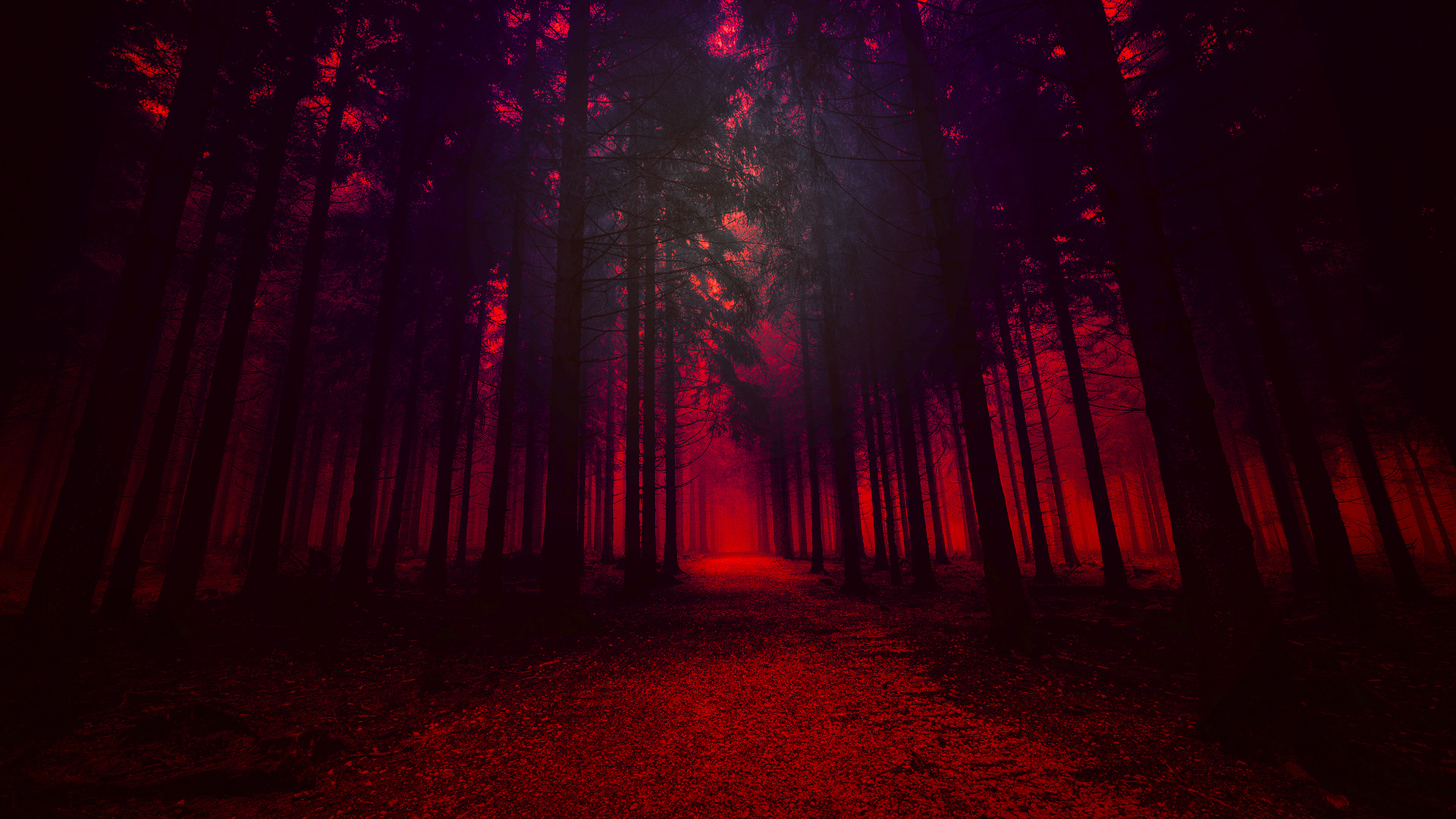 Red Forest Wallpapers