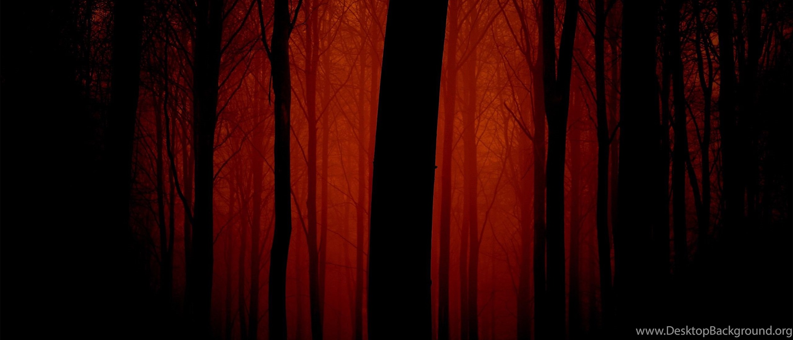 Red Forest Wallpapers