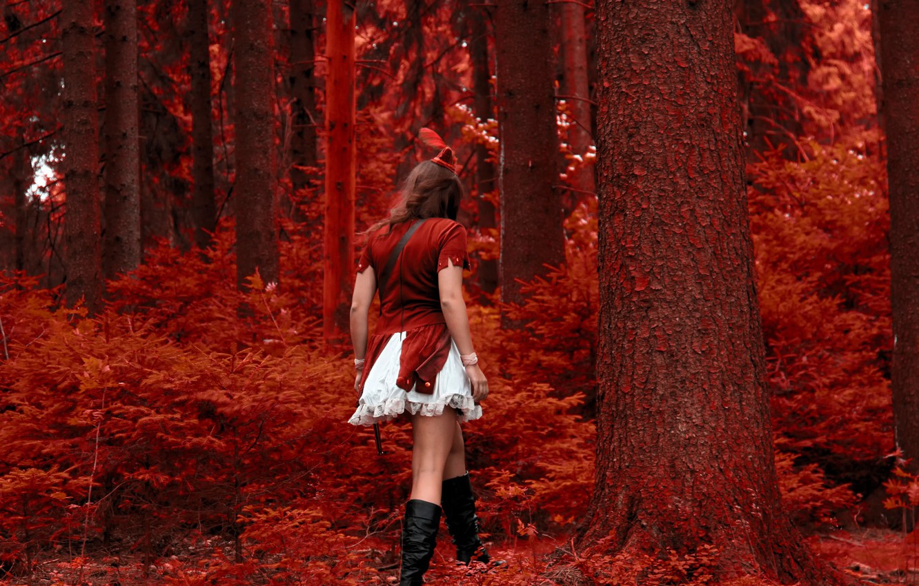 Red Forest Wallpapers