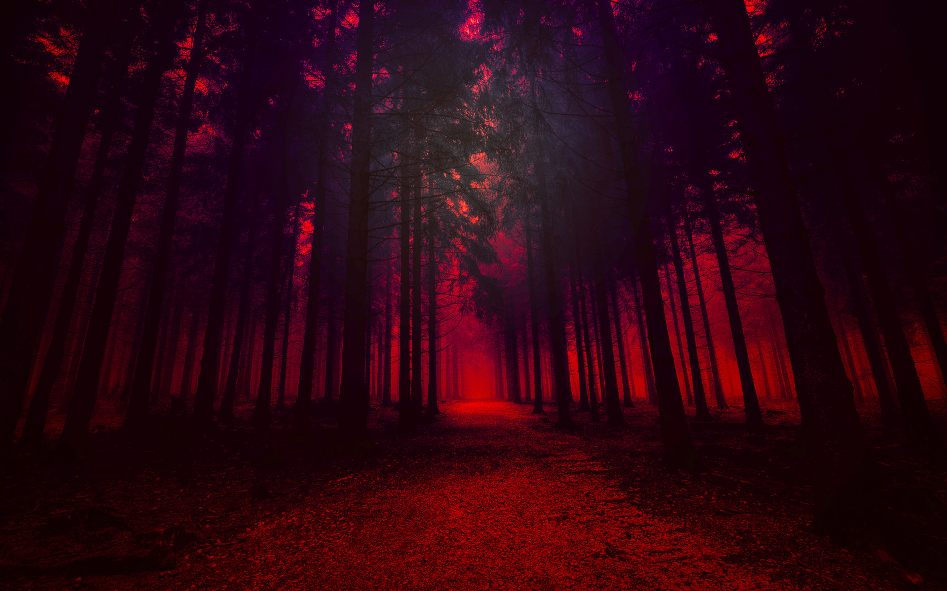 Red Forest Wallpapers