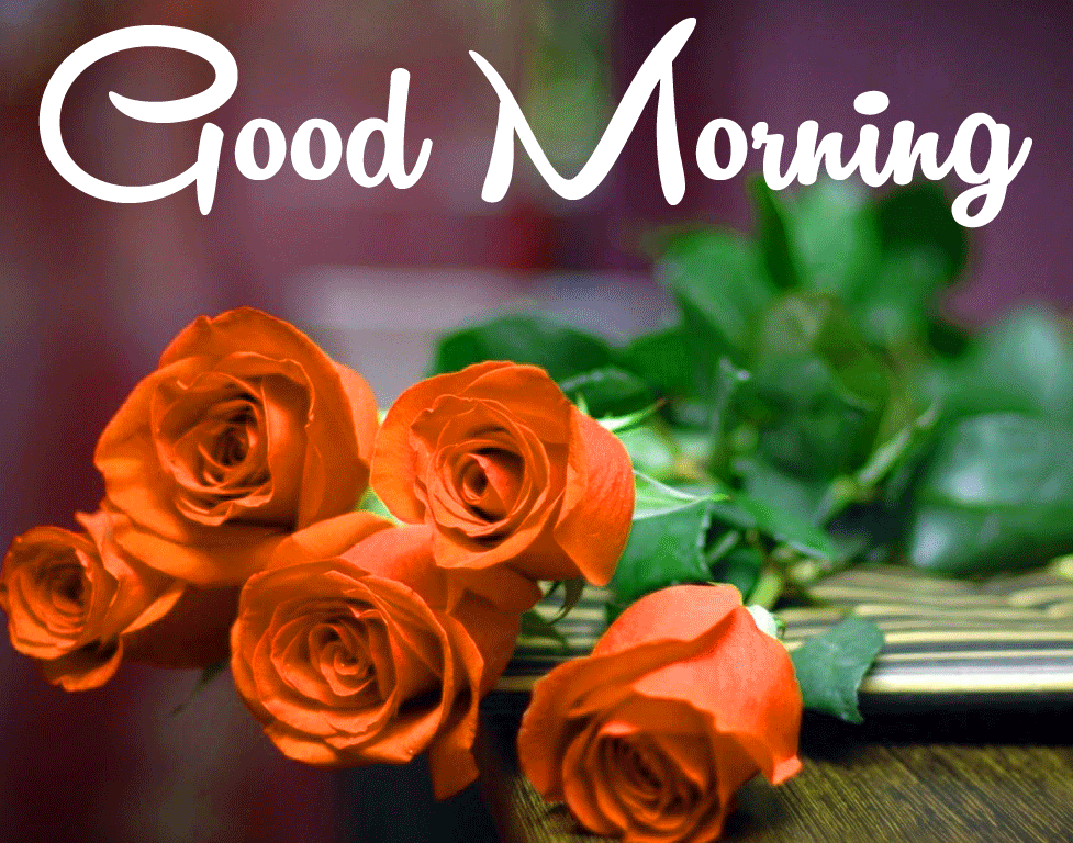 Red Good Morning Wallpapers