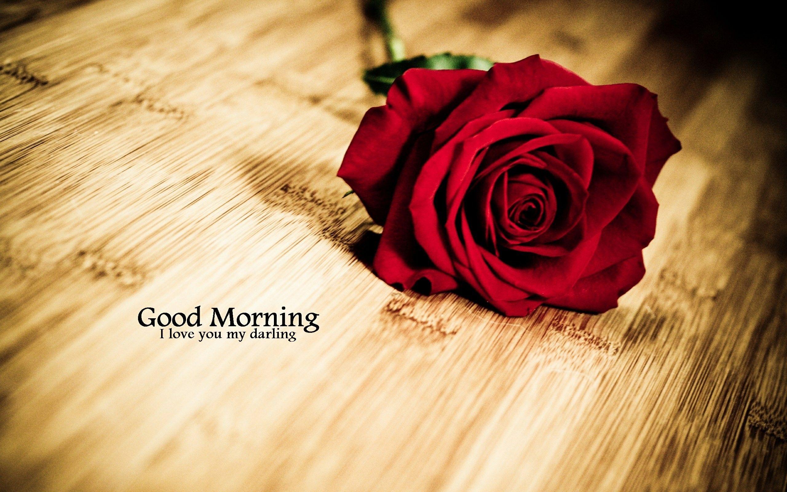 Red Good Morning Wallpapers