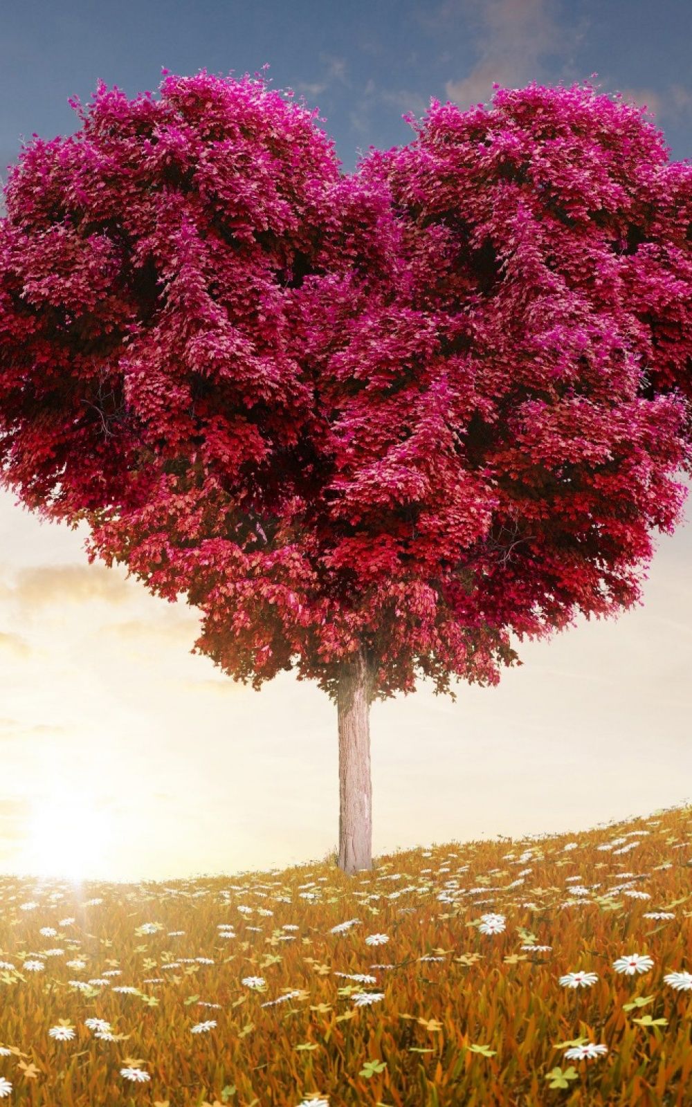 Red Heart Tree Wallpapers