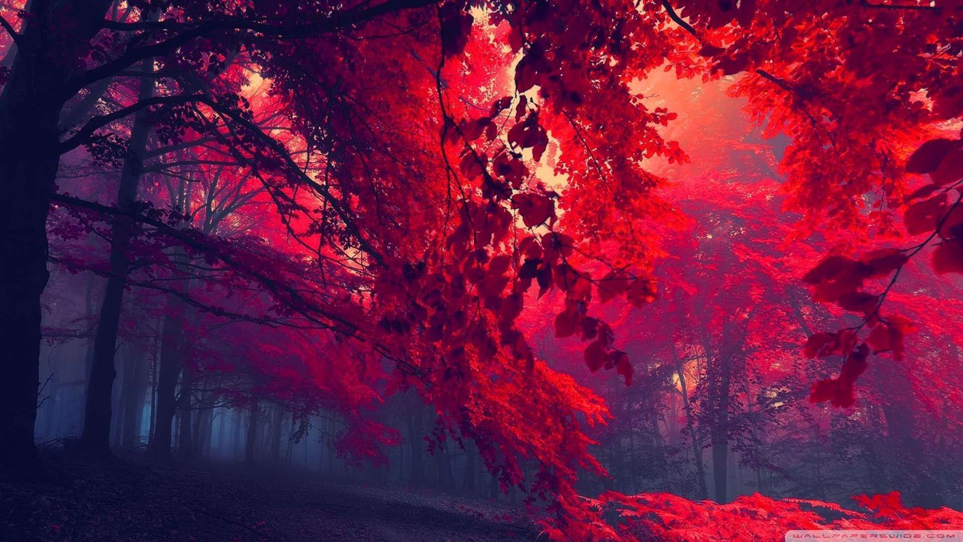 Red Landscape Wallpapers