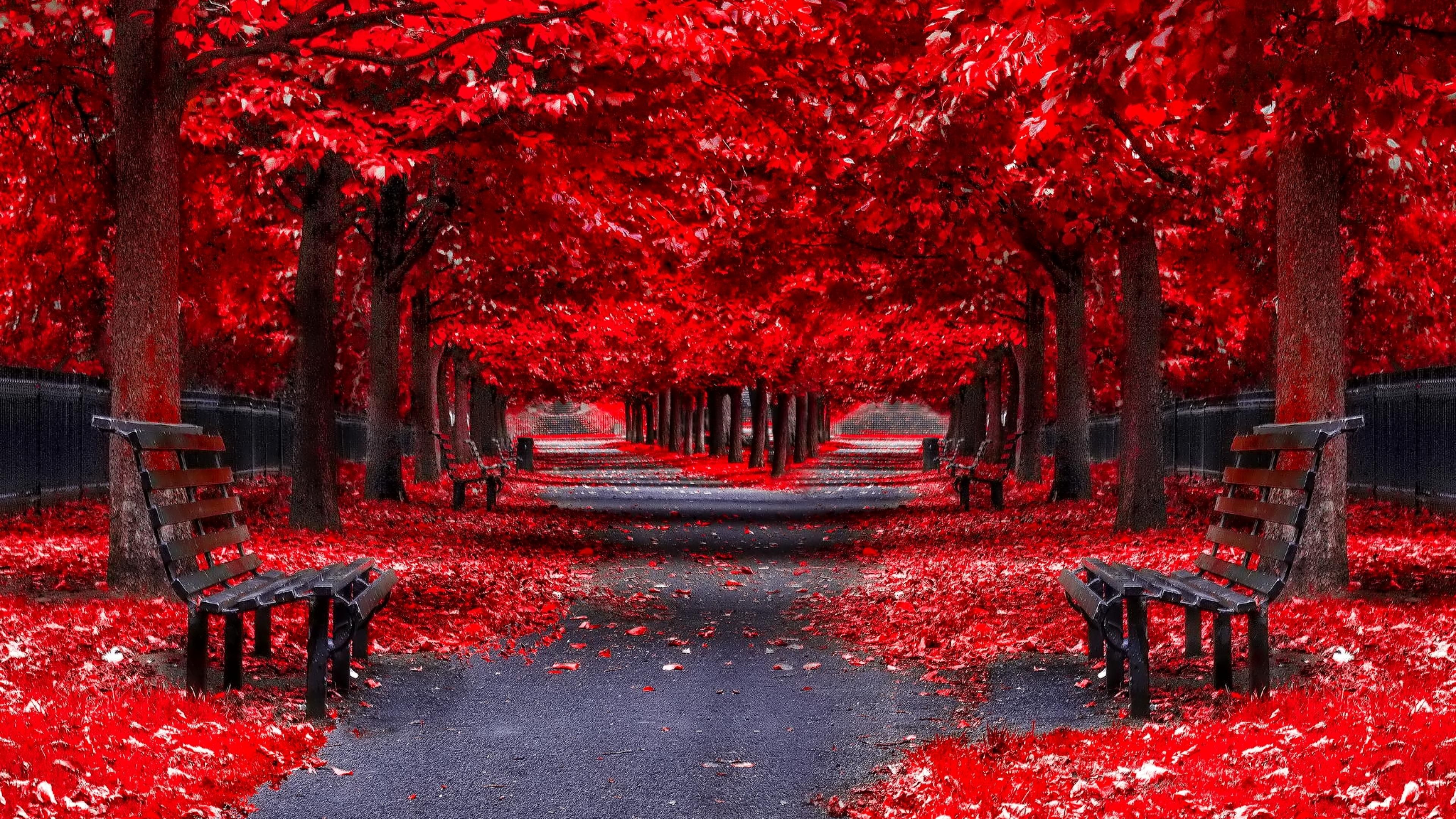 Red Landscape Wallpapers