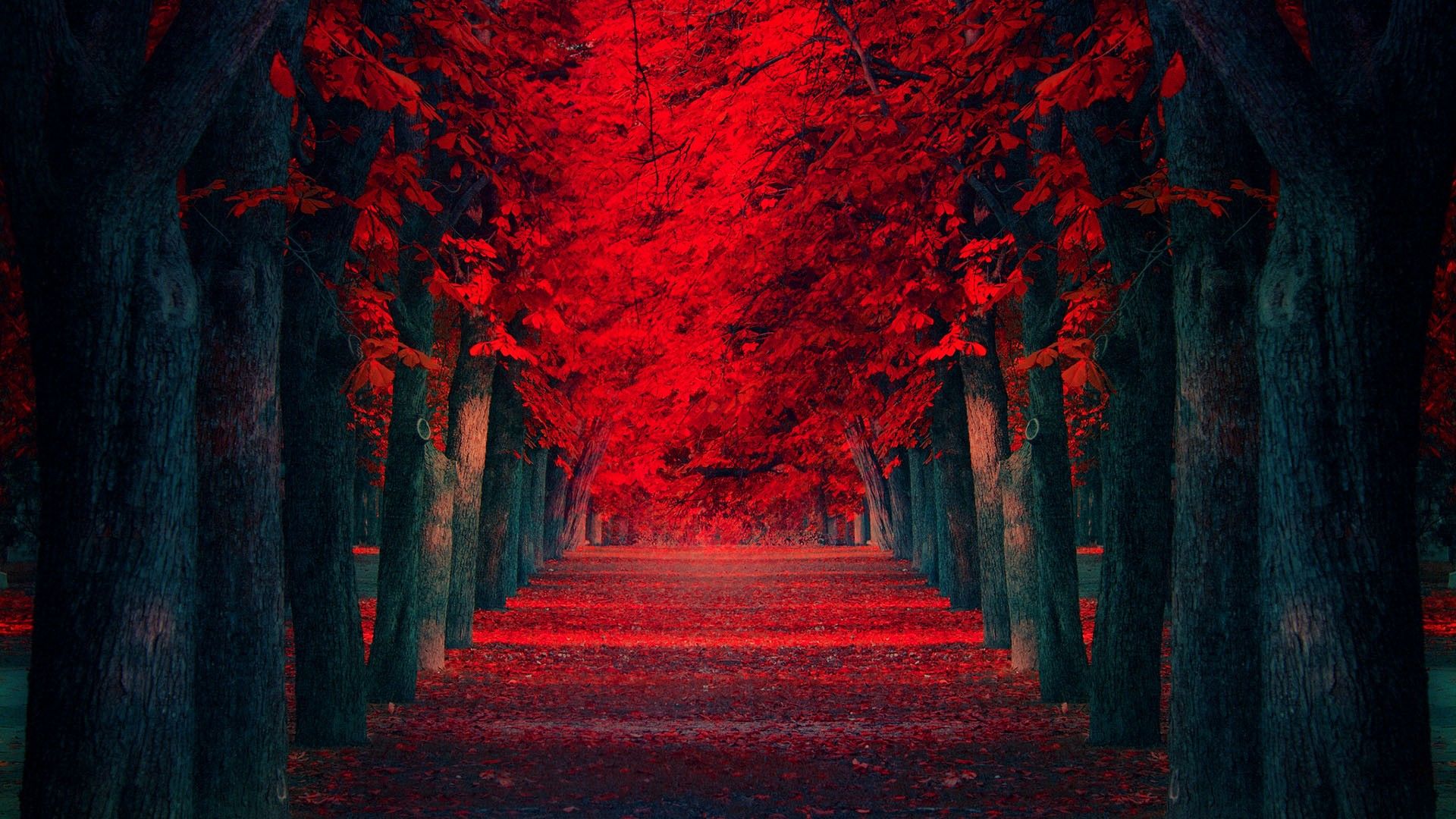 Red Landscape Wallpapers