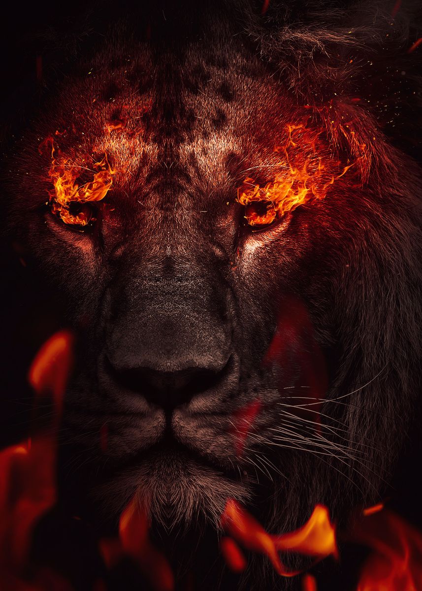 Red Lion Wallpapers