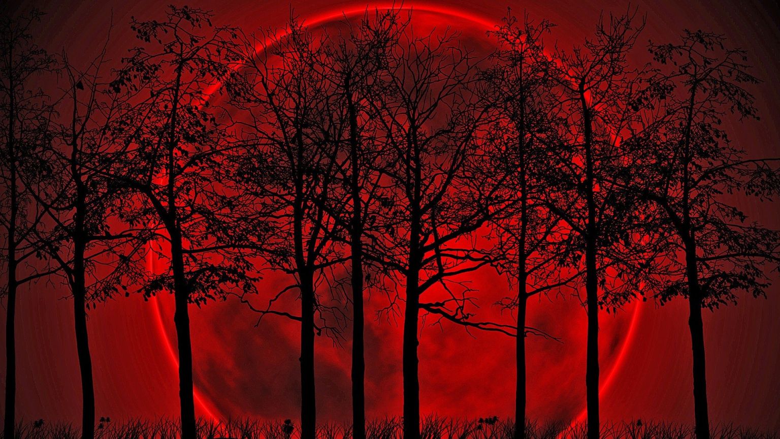 Red Moon Wallpapers