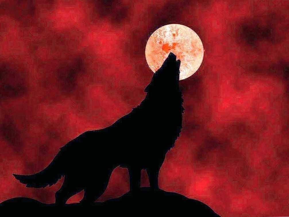 Red Moon Wolf Wallpapers