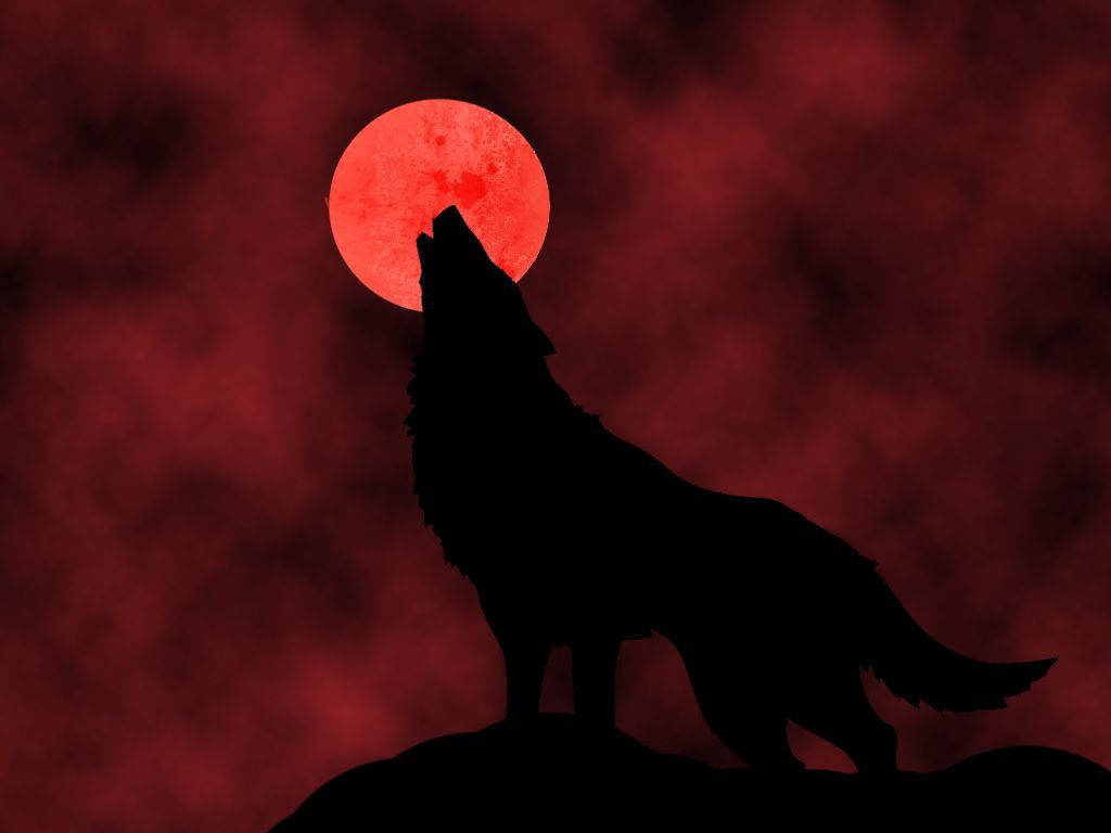 Red Moon Wolf Wallpapers