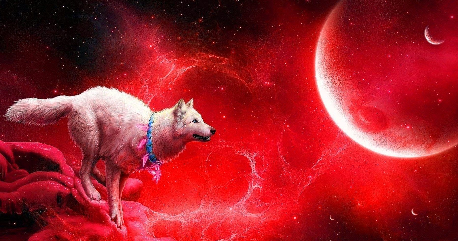 Red Moon Wolf Wallpapers