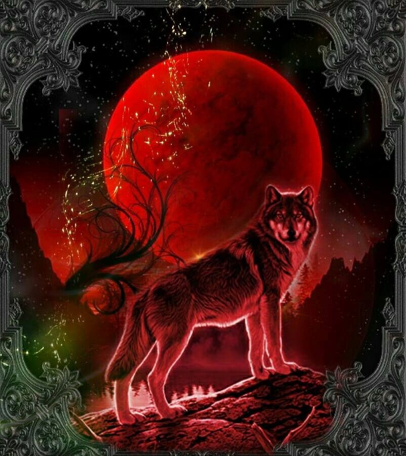 Red Moon Wolf Wallpapers