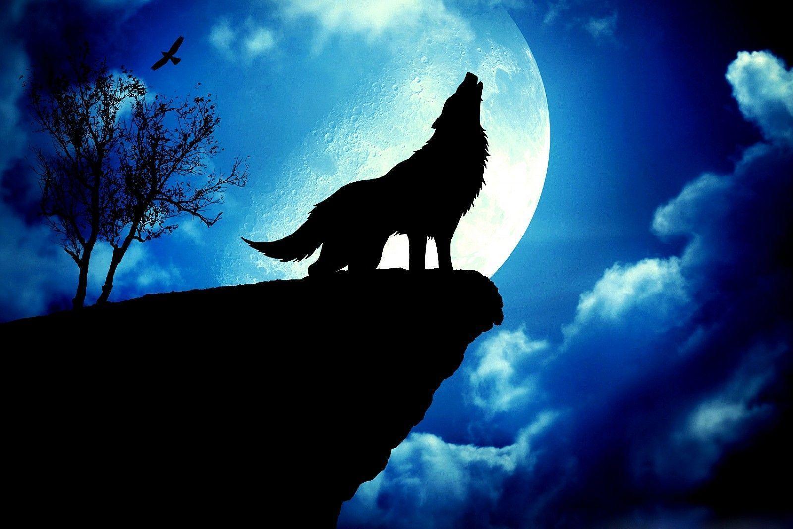 Red Moon Wolf Wallpapers